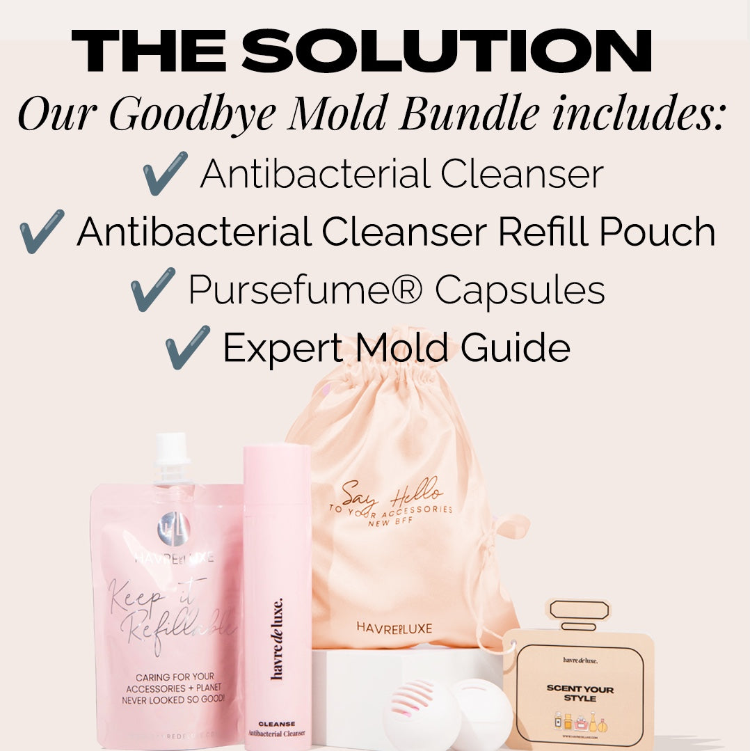 Goodbye Mold Bundle