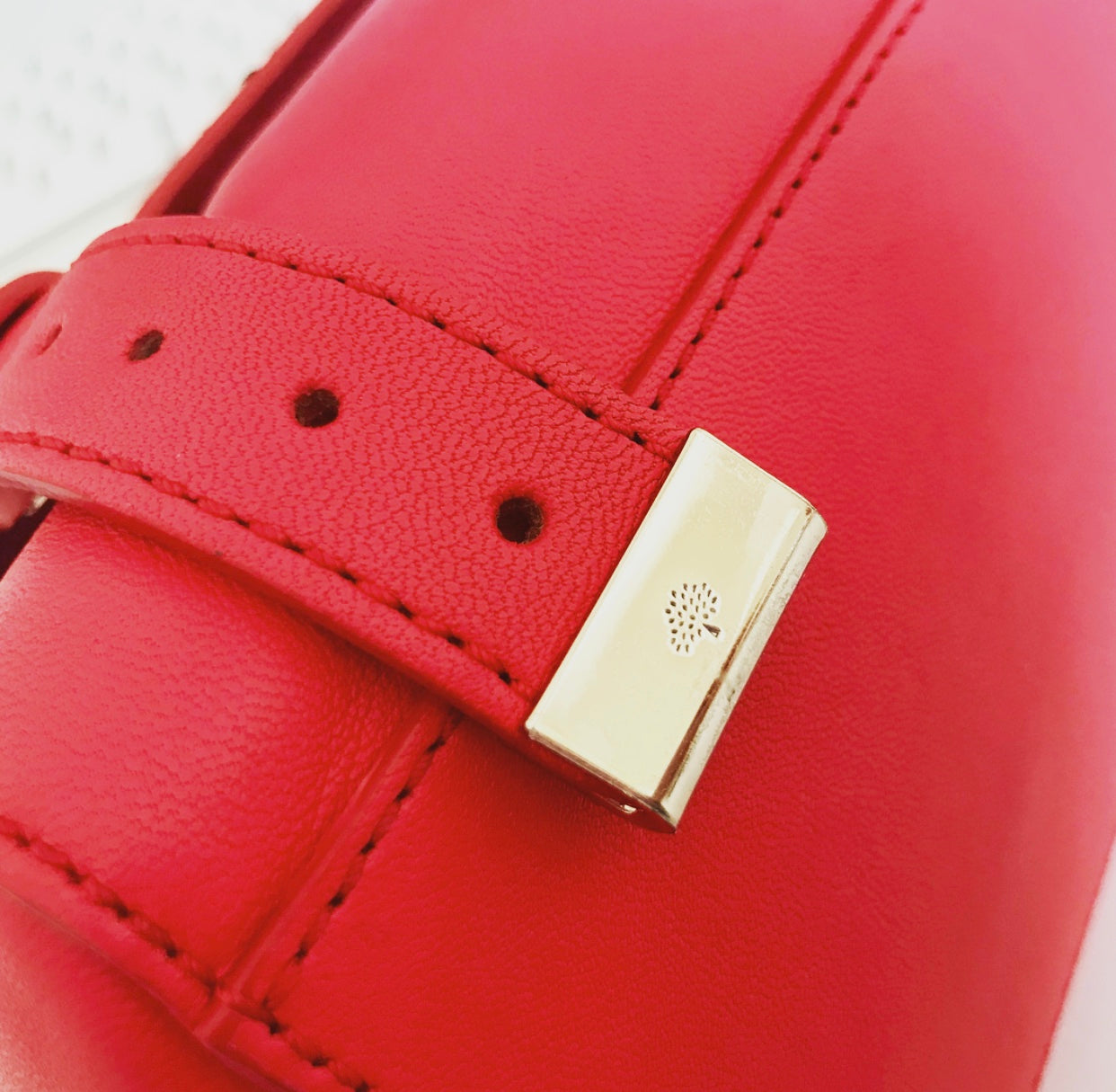 与 OLD Style Mini Alexa Postman Lock 兼容的保护器